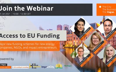 Watch our webinar on access to EU Funding, organised in cooperation with the Hague Business Agency